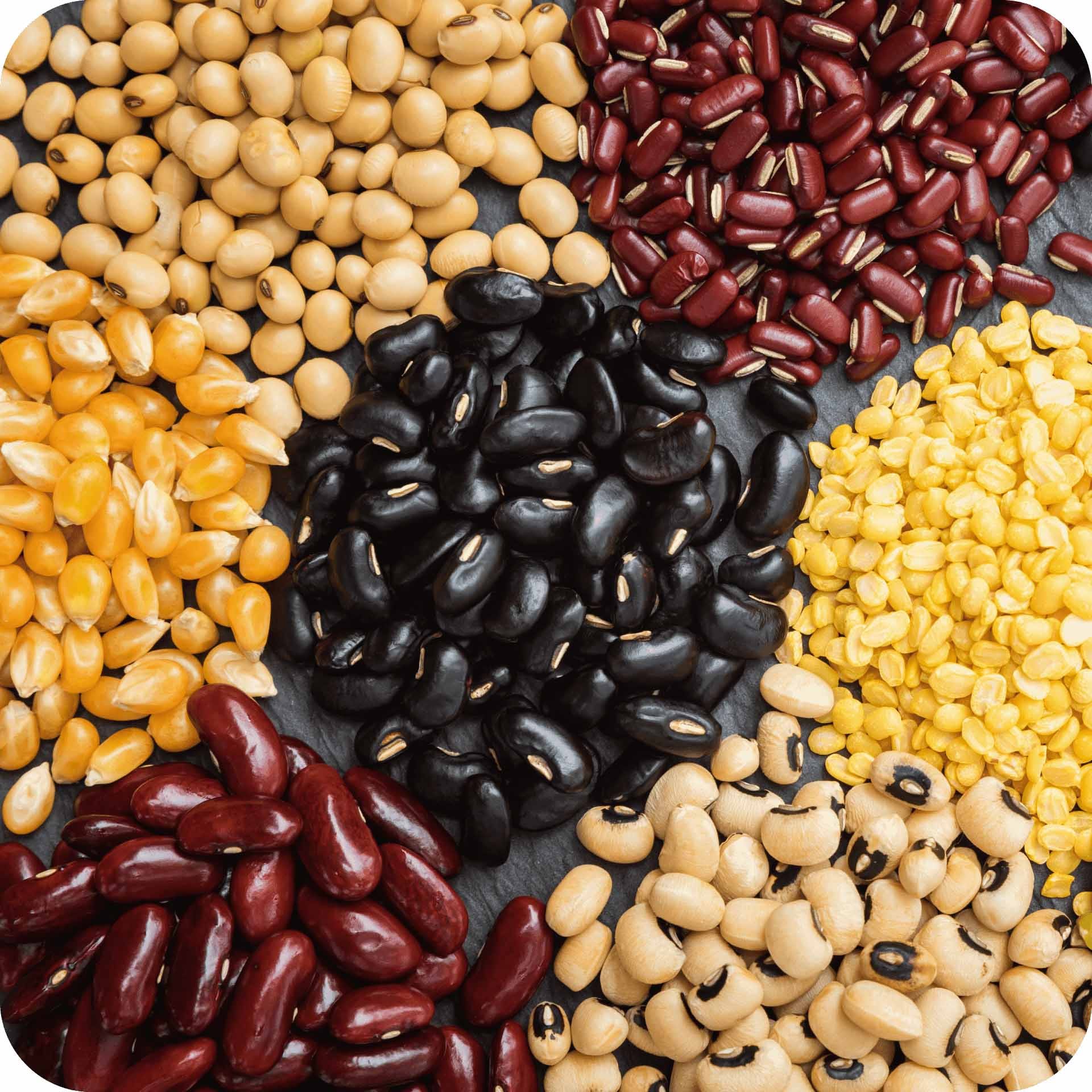 Healthy grains and pulses