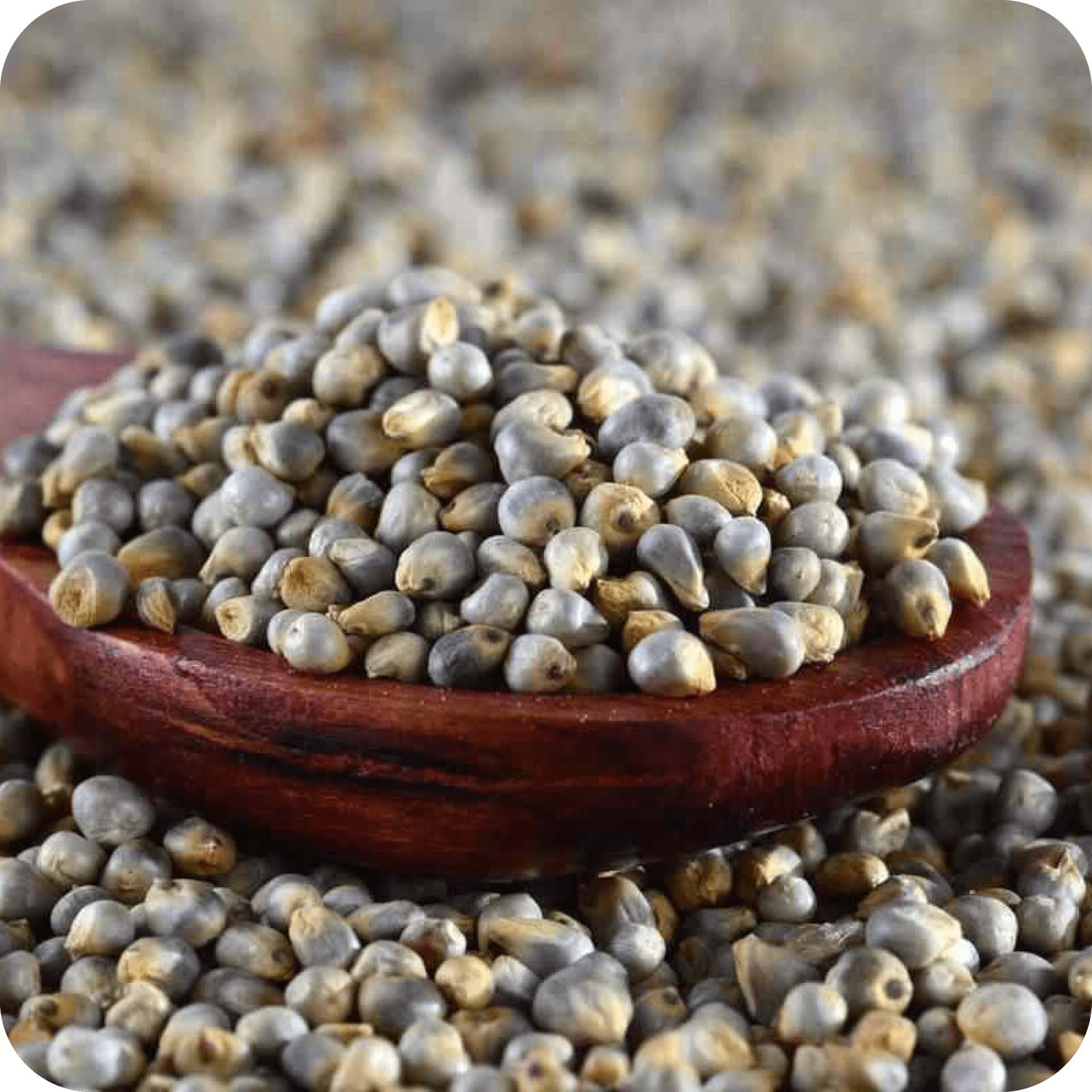healthy bajra millet